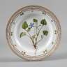 Royal Copenhagen Speiseteller "Flora Danica"