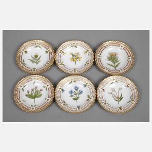 Royal Copenhagen sechs Schälchen "Flora Danica"
