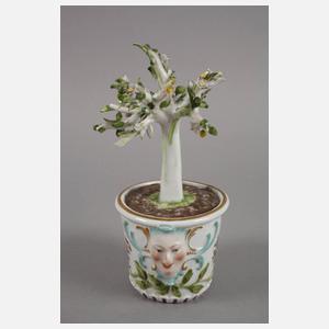 Meissen Cachepot mit Zitronenbäumchen