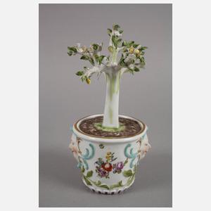 Meissen Cachepot mit Zitronenbäumchen
