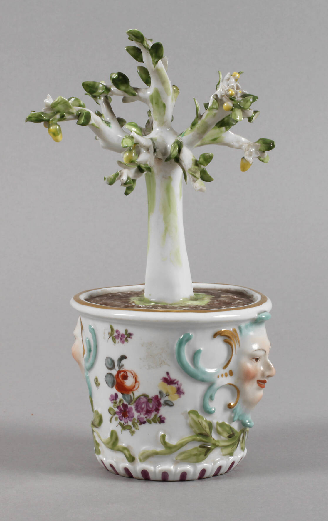 Meissen Cachepot mit Zitronenbäumchen
