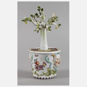 Meissen Cachepot mit Zitronenbäumchen