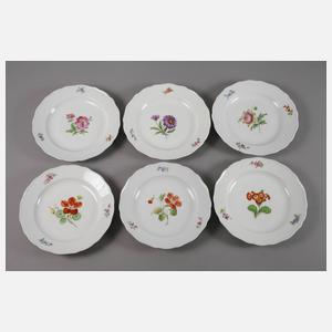 Meissen siebzehn Speiseteller "Blume 1"