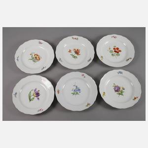Meissen siebzehn Speiseteller "Blume 1"