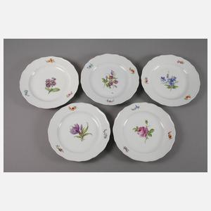 Meissen siebzehn Speiseteller "Blume 1"