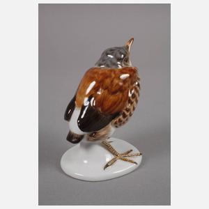 Meissen "Junge Amsel"