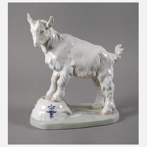 Meissen "Ziegenbock auf Napf, groß"