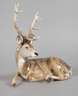 Nymphenburg "Hirsch, liegend"
