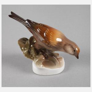 Nymphenburg "Hänfling"