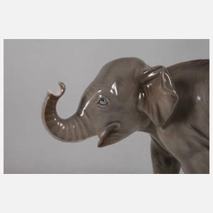 Nymphenburg "Junger Elefant"