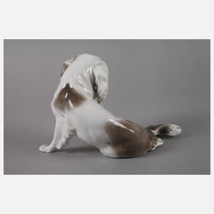 Pfeffer Gotha Pekinese