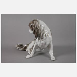 Pfeffer Gotha Pekinese