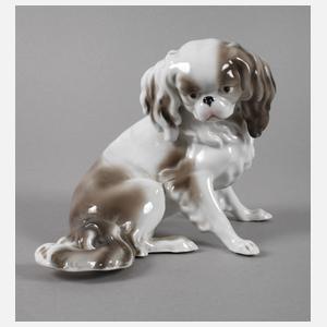 Pfeffer Gotha Pekinese