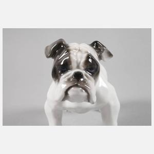 Rosenthal "Englische Bulldogge"