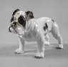 Rosenthal "Englische Bulldogge"