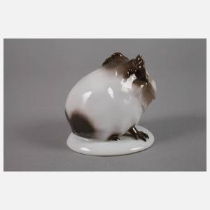 Rosenthal "Meerschweinchen"