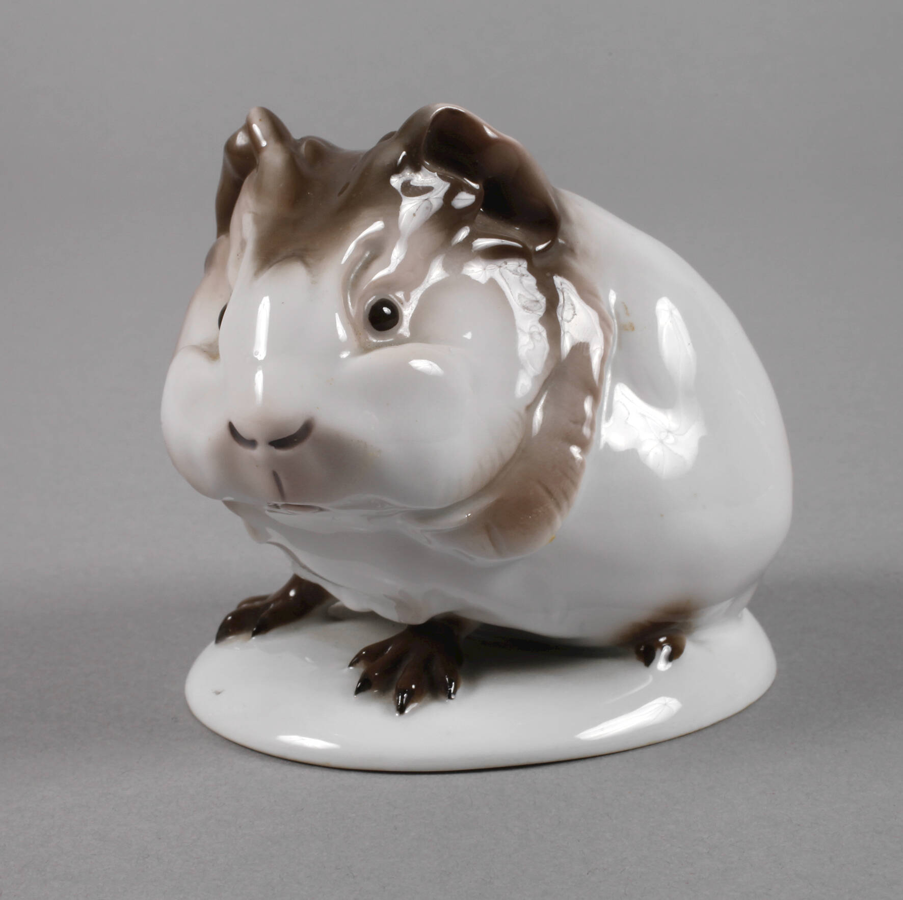 Rosenthal "Meerschweinchen"