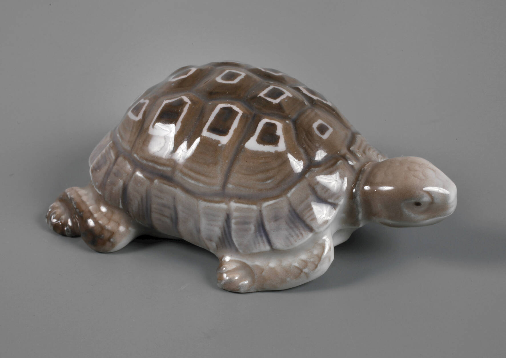 Rosenthal Schildkröte