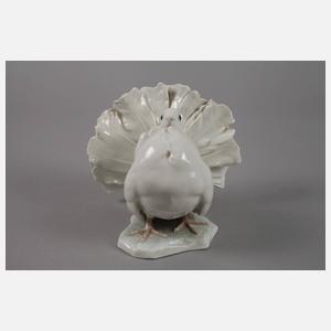 Rosenthal "Tauber (Pfauentaube)"