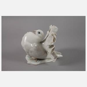 Rosenthal "Tauber (Pfauentaube)"