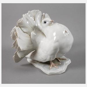Rosenthal "Tauber (Pfauentaube)"