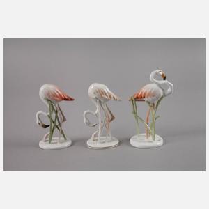 Rosenthal drei Flamingos