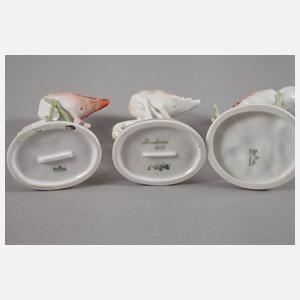 Rosenthal drei Flamingos