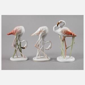 Rosenthal drei Flamingos