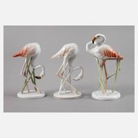 Rosenthal drei Flamingos111