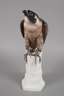 Rosenthal "Wanderfalke"