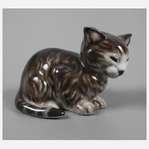 Rosenthal "Sitzendes Kätzchen"