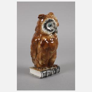 Thüringen Büchereule