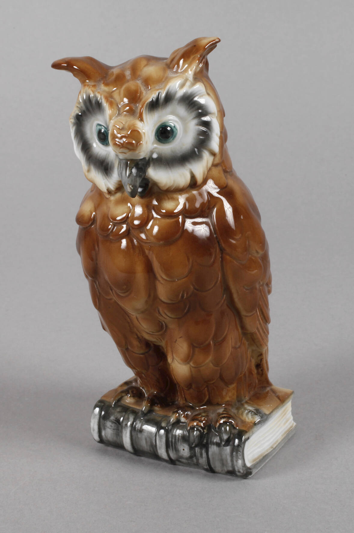 Thüringen Büchereule