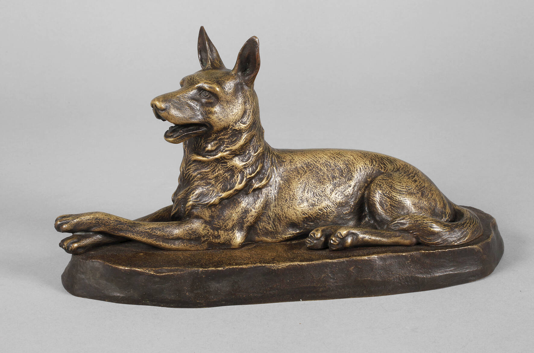 Liegender Schäferhund