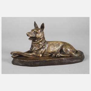 Liegender Schäferhund