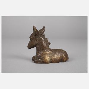 Liegendes Eselfohlen