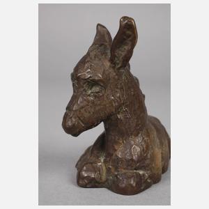 Liegendes Eselfohlen