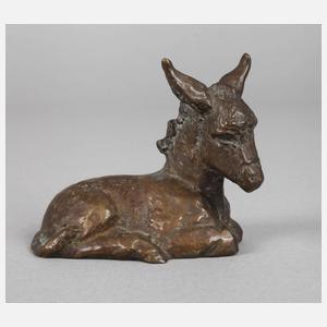 Liegendes Eselfohlen