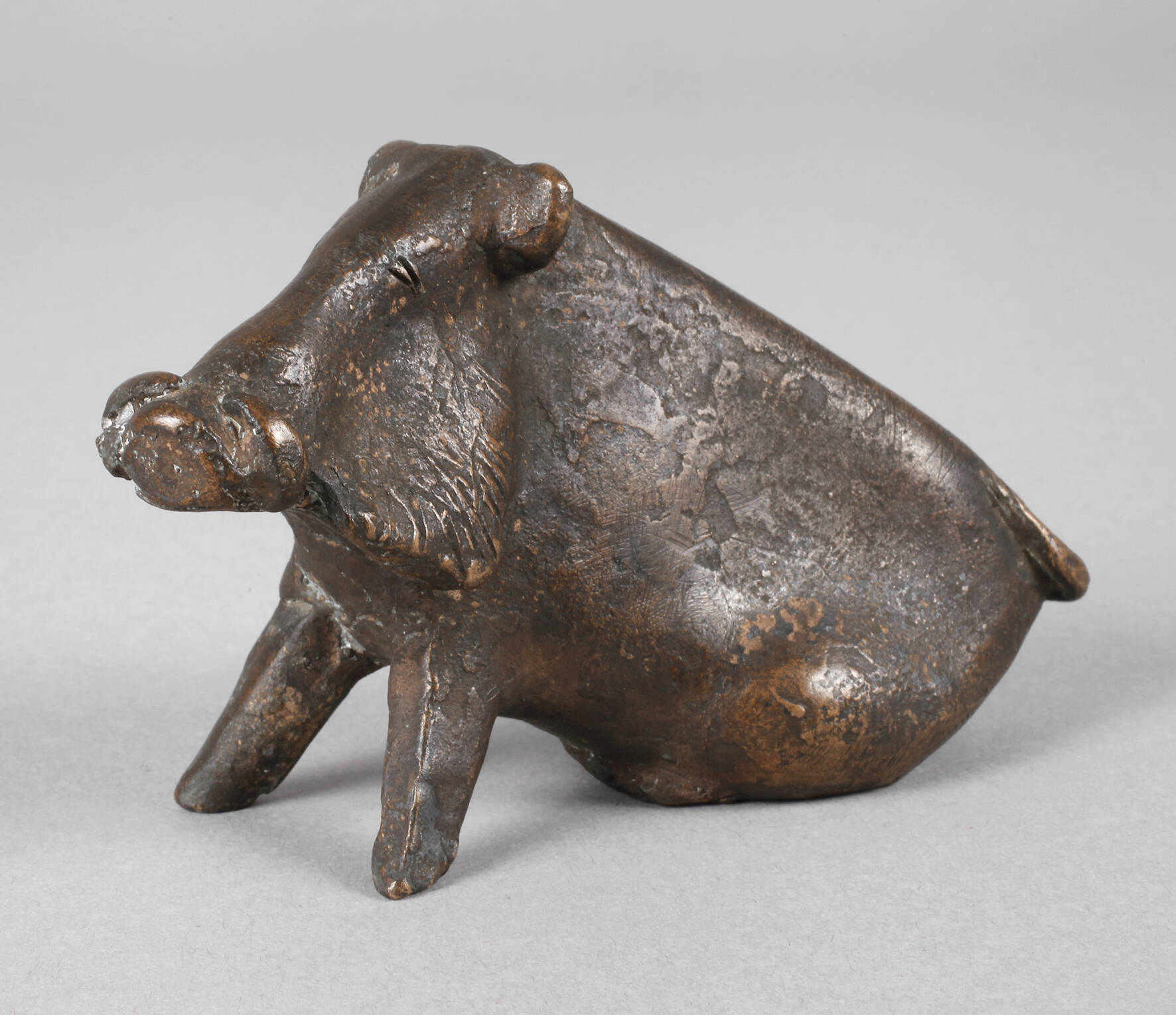 Rolf Nida-Rümelin, sitzendes Wildschwein