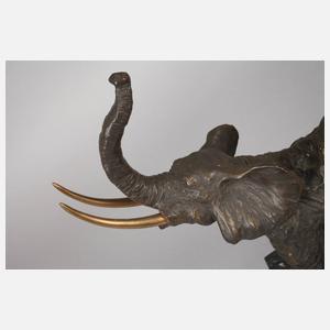 Elefant mit erhobenem Rüssel