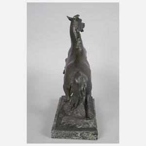 Albert Wolf, Sachsenross