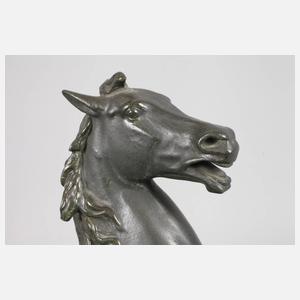 Albert Wolf, Sachsenross