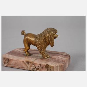 Kleinbronze Pudel Karlsbad