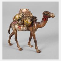 Wiener Bronze Kamel111