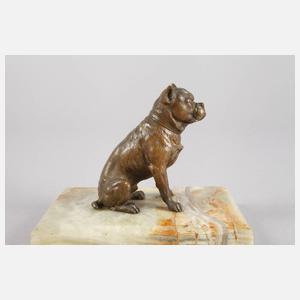 Wiener Bronze Bulldogge