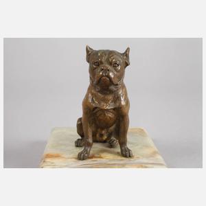 Wiener Bronze Bulldogge