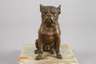 Wiener Bronze Bulldogge