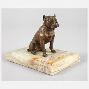 Wiener Bronze Bulldogge