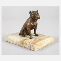 Wiener Bronze Bulldogge111