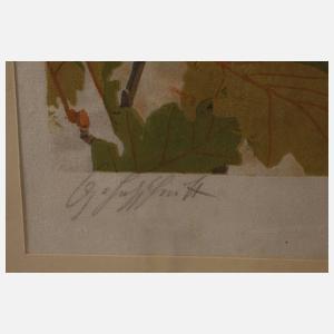 Bachmann, Pirolpärchen am Nest